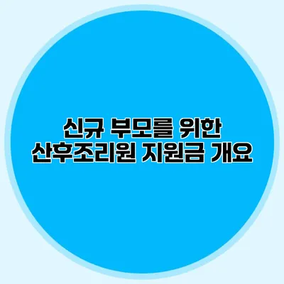 신규 부모를 위한 산후조리원 지원금 개요