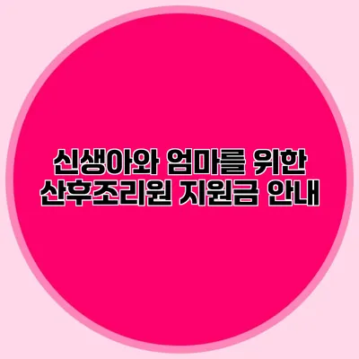 신생아와 엄마를 위한 산후조리원 지원금 안내