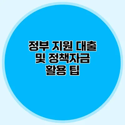 정부 지원 대출 및 정책자금 활용 팁