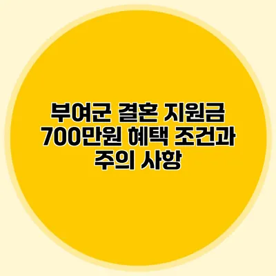 부여군 결혼 지원금 700만원 혜택 조건과 주의 사항