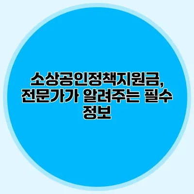 소상공인정책지원금, 전문가가 알려주는 필수 정보